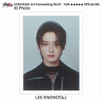 Stray Kids Fanmeeting PILOT Ametlik MD ID fotokarbi fotokaart Leeknow - ID Photo