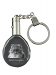 British Longhair - Fob with cat photo, crystal key ring in gift box, unique gift by Art-Dog brand