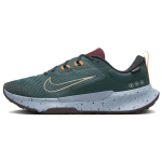 Nike Juniper Trail 2 GORE-TEX S&uuml;gava džungli khakirohelised meeste tossud Roheline &ouml;&ouml;-punane Ohutusoranž FB2067-300 43 gray