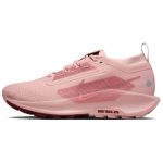 Nike Pegasus Trail 5 GORE-TEX Roosa Oxford Naiste Tossud Punane-Sepia Punane-Stardust FQ0912-601 38.5