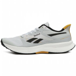 Reebok Floatride Energy 6 'Moon Grey Heritage Gold' tossud 100201164 40.5 hall v&auml;rv