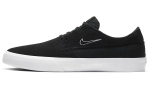 Nike Shane Sb 'Must' BV0657-003 40