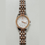 Michael Kors naiste petite Lexington kvartsikell h&otilde;bedase sihverplaadi ja roostevabast terasest korpusega 26 mm MK4816 h&otilde;be