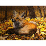 Teemantmaali Fox Teemantmaali komplekt Daimond Painting 20X30CM