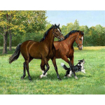 T&auml;ielik 5D Teemantmaaling Jooksev hobune Mosaiik Tikand Ristpistes Kodukaunistus K&auml;sitsi valmistatud kingitus 20X25CM