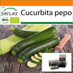 SAFLAX - Aed kotis - Mahe - Kabat&scaron;okk - Nero di Milano - 6 seemet - Substraadiga sobivas p&uuml;stises kotis - Cucurbita pepo