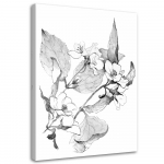 L&otilde;uendiprint Flowers Black White Nature 40x60 valge/must