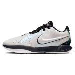 Nike LeBron 21 Conchiolin Meeste Tennised Valge Must Bicoastal HF5841-100 44.5