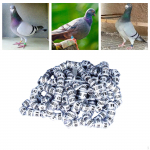 100 komplekti Pigeon Dove jalar&otilde;ngaid &ndash; lihtne lindude tuvastamine