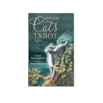 Inglise tarot suures suuruses Spirit Eye Bright Prophet koos ingliskeelse juhendiga (12x7 cm)