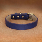 Nahast v&auml;ike koera kaelarihm Vastupidav kutsika kassi kaelarihm Reguleeritav lemmiklooma kaelarihm Lemmikloomatarvikud v&auml;ikeste t&otilde;ugude koertele Cat Chihuahua SM 27-33cm roheline