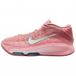 Nike Air Zoom GT Hustle 3 Punane Stardust Unisex Tossud Roosa Roosakas Tolmune Kaktus FV5953-602 44