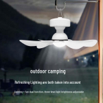 V&auml;litingimustes p&auml;ikesetoitel laetav ventilaator-lamp