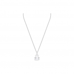 Swarovski kaisukaru kristallkaelakee Naistele kaelakee H&otilde;be 5410280 Box (Random Color)