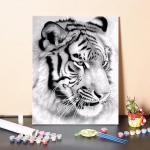 Kodukaunistus Digitaalne &otilde;limaal DIY maalimine numbrite j&auml;rgi Kunstinumbrid &Otilde;limaal l&otilde;uend 40x50cm no frame