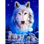 5D DIY t&auml;is&uuml;mmargune teemantmaaling Wolves Teemanttikandid Kodukaunistus Full Round 20x30CM