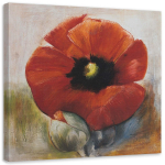 L&otilde;uenditr&uuml;kk Poppy Flowers Acrylic 30x30 punane