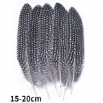 Looduslikud faasanisuled Paabulinnusuled Kotkas V&auml;ike n&auml;ss K&auml;sit&ouml;&ouml; Aksessuaarid Ehted Looming P&uuml;hadekaunistus 50Pcs