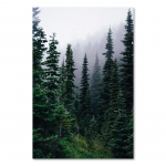 Talvine lumi mets hirve &ouml;&ouml;kull p&auml;ikesevalgus maastikumaal P&otilde;hjamaade hommikune maastik L&otilde;uend Plakat Prindi Kunst Seinapildid Kodukaunistus 21x30cm No Frame