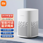 Xiaomi XiaoAI nutikas k&otilde;lar Play CN pistikuga (adapter kaasas)