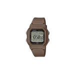 CASIO Unisex Hall Kell W800H-5AV W800H-5AV Gray Dial gray