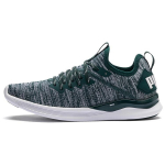 (NAISTE) PUMA Ignite Flash Evoknit 'Hall Roheline Valge' Naiste 190511-16 EU 36