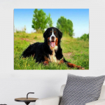 Huacani 5D tikandid maalid musta koera kivist kleebitud DIY teemantmaaling ristpistes Full square 25*30 cm