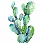 5D DIY Teemantmaal Kaktus Tikand Ristpistes Rhinestone Mosaiic Kodukaunistus 20X30CM