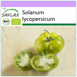 SAFLAX - Mahe - Tomat - Roheline Sebra - 10 seemet - Solanum lycopersicum