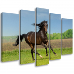 Viieosalise pildiga l&otilde;uendiprint Horse gallop meadow 100x70 roheline