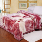 Four Seasons soe ja mugav tekk tekk Paksendatud topeltkorallfliisist tekk &Uuml;hekohalise &uuml;li&otilde;pilase &uuml;hiselamu talve kattetekk 200*230cm