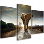 Kolmeosalise pildiga l&otilde;uenditr&uuml;kk Elephant on the road 60x40 pruun