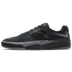 Nike Ishod Wair SB Must Tumehall Unisex Tossud Valge DC7232-003 36