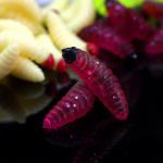 Worm TPR ujuv pehme plastist s&ouml;&ouml;t Bionic Caterpillar Swimbait kalap&uuml;&uuml;gi forell Bass Wacky Luya s&ouml;&ouml;t Pehme ussi kastmispea Hydatid Bionic Maggot Worm s&ouml;&ouml;t 1pcs