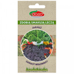 Jarmuż mix odmian nasiona warzyw świeże PREMIUM 1g Graspapier