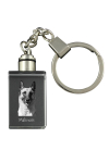 Malinois Belgian Shepherd Dog - Crystal key ring with dog photo, illuminated key ring, unique gift by Art-Dog brand