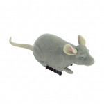 Elektrilised Hiire M&auml;nguasjad Kassi M&auml;ng Pl&uuml;&uuml;sist Hiir Lemmiklooma Interaktsiooni M&auml;nguasi Rott Kassi M&auml;nguasi Interaktiivne M&auml;nguasi prussakas &Auml;mblik Interaktiivne