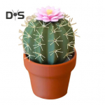 Kaktuse Soola ja Pipra Soolan&otilde;ude Komplekt Lehviklille Disainiga K&ouml;&ouml;gi Uudsus V&uuml;rtside Jaotur Kodu soolakingitus toidunautlejatele tumeroheline v&auml;rv