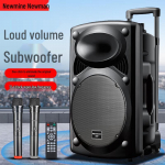Newman B12 12-tollise v&auml;litingimustes kaasaskantav Bluetoothi karaoke k&otilde;lar kahe mikrofoniga CN pistikuga (adapter kaasas)