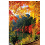 20x25cm t&auml;ispuur 5D isetegemise teemantv&auml;rvimiskomplekt Mosaiik kodukaunistuseks 20x25CM