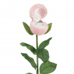 Les Tr&eacute;sors De Lily [P9180] - kahvaturoosa 'Rose Declaration' s&otilde;rmusekarp - 22 cm - 4x4 cm Heleroosa