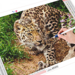 Teemantmaal 5D Leopard Teemantkunst t&auml;ispuuritud &uuml;mmargune tikandid Kodukaunistus saabumise kingitus 20X30CM