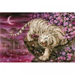 5D DIY teemantmaal Must-valge tiiger Tikand Ristpistes Rhinestone Mosaiic Kodukaunistus 20X30CM