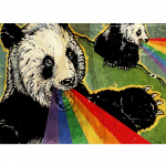 5D DIY teemantmaal v&auml;rviline joonistus hiiglaslik panda mosaiik ristpistes vikerkaare muster teemanttikandid k&auml;sit&ouml;&ouml; kodukaunistus Full Square (20X30CM)