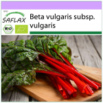 SAFLAX &ndash; Orgaaniline &ndash; Mangold &ndash; Rabarber &ndash; 50 seemet &ndash; Beta vulgaris