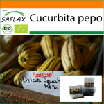 SAFLAX - Aed kotis - Orgaaniline - Suvik&otilde;rvits - Delicata - 6 seemet - Substraadiga sobivas p&uuml;stises kotis - Cucurbita pepo