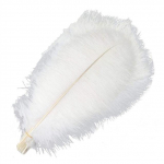 10tk /partii uued v&auml;rvilised jaanalinnusuled k&auml;sit&ouml;&ouml;ks valged mustad sulgedega kaunistused laua keskosad ehted k&auml;sit&ouml;&ouml; kaunistus 15-20cm 6-8inch beež