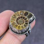 Ammonite Fossil Gemstone Handmade 925 Sterling Silver Jewelry Ring Size 7 s3m41