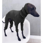 Turtleneck Big Dog Itaalia hurta riided talvekombinesoon koertele ribi neljajalgne pidžaama lemmiklooma kampsun suurtele koertele S