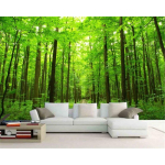 3D looduslik tapeet Metsamaastiku seinamaalingud Elutuba Magamistuba Tapeet Kodu kaunistus Seinamaalingud 200 cm(W) x 140 cm(H) green